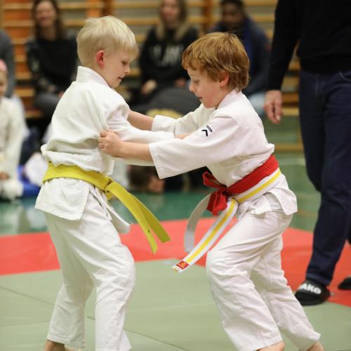 Judo Wettkampf