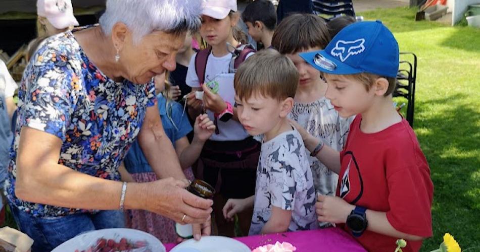 Lavendel für das Duftsäckchen