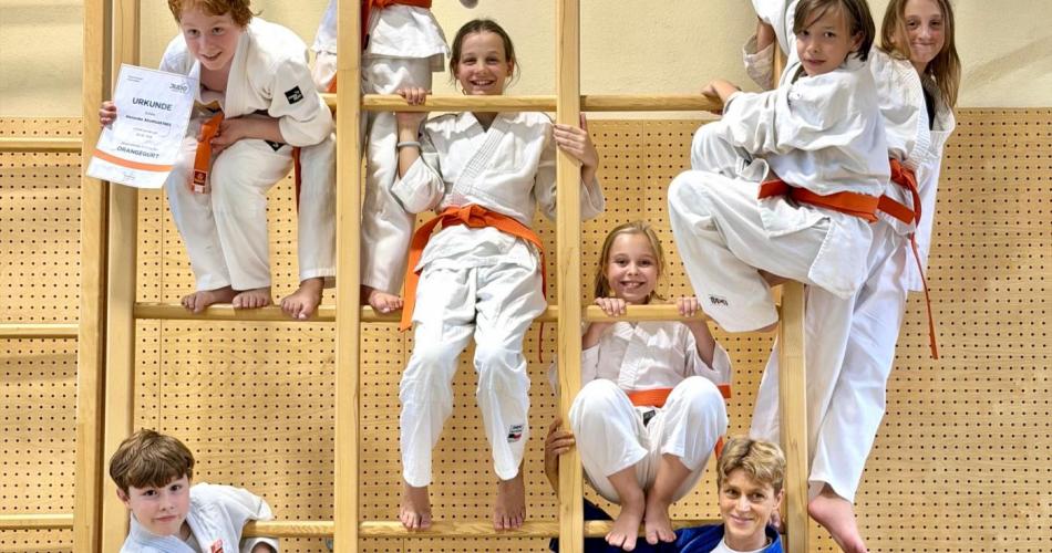 Judo